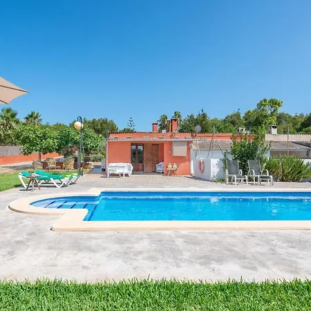 Calafat Santa Margalida